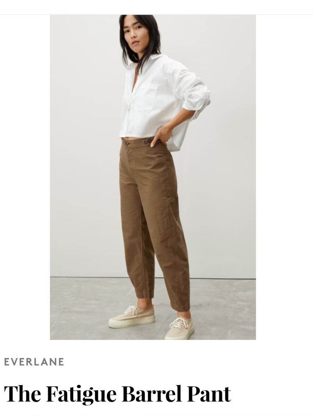 Everlane Organic Cotton/Linen Fatigue Barrel Jogger Pants in Brown - 4